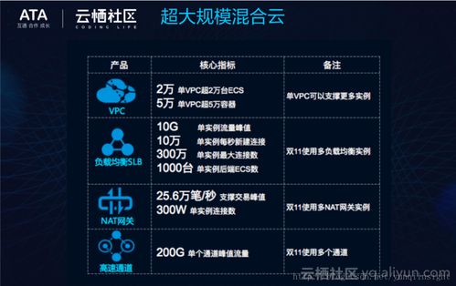 網(wǎng)絡(luò)虛擬化技術(shù) 為“雙11”打造高效能靈動網(wǎng)絡(luò)的技術(shù)基石